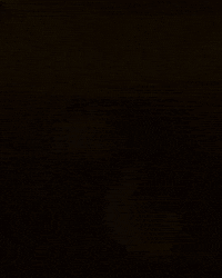 Cat Duck GIF