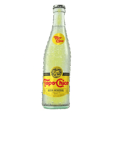 TopoChicoUSA giphygifmaker chico topo mineralwater GIF