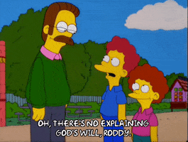 episode 19 todd flanders GIF