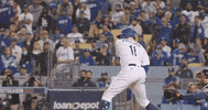 La Dodgers Baseball GIF by MLB