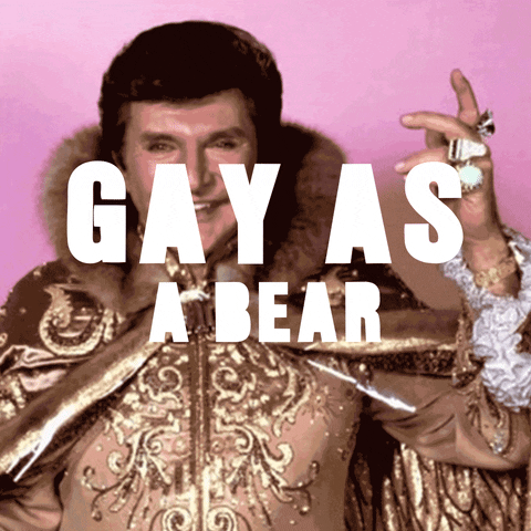 Digital art gif. A still image of Liberace with the text "Gay as". The phrase after that quickly changes to "quiche", "leather", "wrestling", "poodles", "cowboys", "equality", "disco", etc.