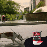 soprole  GIF