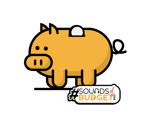 Budget Sticker by digibankindia