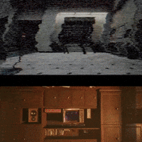 GIF by Wired Productions