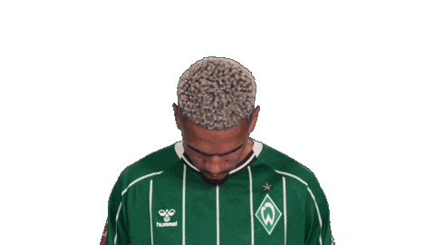Werder Bremen Sticker by Bundesliga