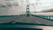 michigan GIF
