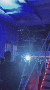 Tailify party glitter confetti partying GIF