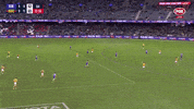Left Foot Afl GIF by Adelaide Crows