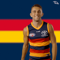 Afl Celebrate GIF by Adelaide Crows