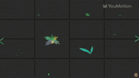 Flowers Animations