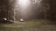 frameworks GIF by Topshelf Records