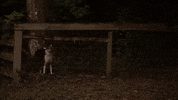 frameworks GIF by Topshelf Records