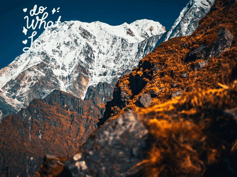 Germany Wow GIF by FranchiseCHECK.de