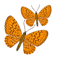 Lemon Uruguay Sticker by Lemon