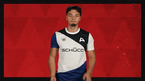 Arminia Bielefeld Applause GIF by Bundesliga