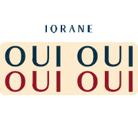 French Sticker by Iorane