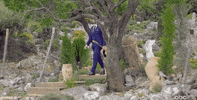 Episode 12 Abc GIF by The Bachelorette