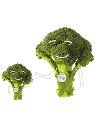 Daddy Day Veggie Sticker by Citrus