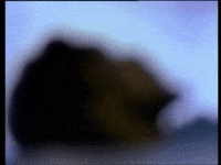 Petertosh Daydream Johnnybgoode High GIF by Peter Tosh