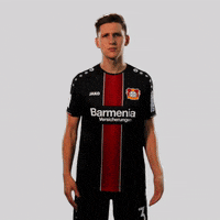 europa league what GIF by Bayer 04 Leverkusen