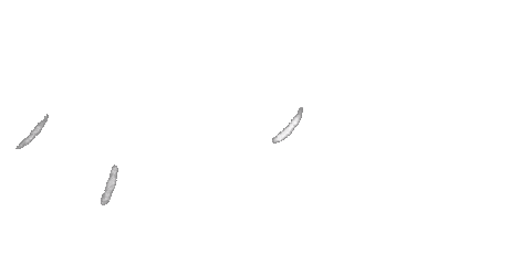 flinthillsmoving giphyupload moving kansas movers Sticker