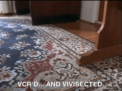 action league now nicksplat GIF