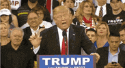 GIF by Mashable