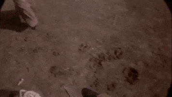 the deadly trackers GIF by Warner Archive