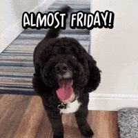 Hang In There Thursday GIF