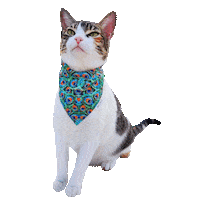 Happy Dancing Sticker