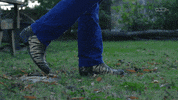 Jake The Snake Roberts Wrestling GIF by DARK SIDE OF THE RING