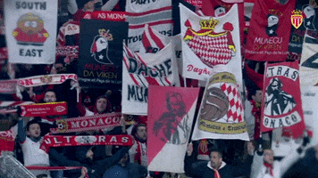 football fans GIF by AS Monaco