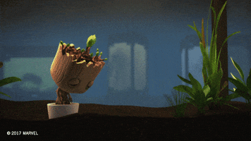 Guardians Of The Galaxy Rocket GIF by Marvel