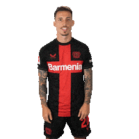 Bayer 04 Win Sticker by Bayer 04 Leverkusen