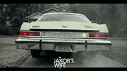 Movie Film GIF by AMP International