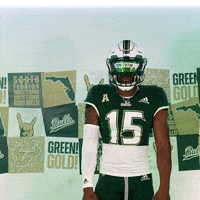 Ncaa Football GIF by USF Athletics