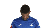 Look Up Tsg Hoffenheim Sticker by Bundesliga