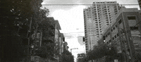 peace GIF