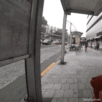 Japan Chicken GIF
