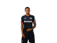 Bayer 04 Bailey Sticker by Bayer 04 Leverkusen