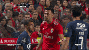 confused sl benfica GIF by Sport Lisboa e Benfica