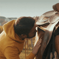 jstavek ok agreed thumbup jstavek GIF