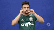 mustache GIF by SE Palmeiras