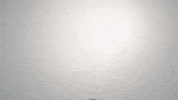 ommhdm yes good like nice GIF