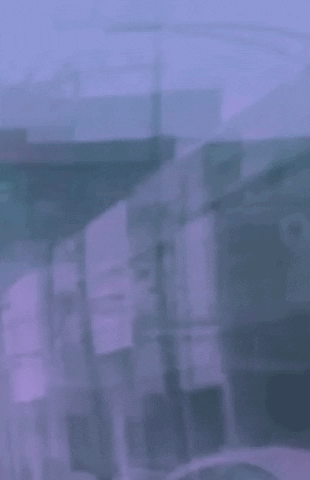 aleydarocha giphygifmaker GIF