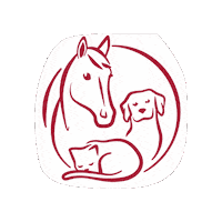 GutAiderbichl hund katze pferd tiere Sticker