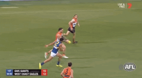 aussie rules finals GIF by AFL