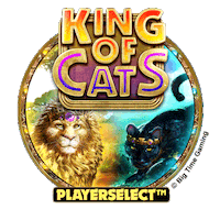 Game Cat Sticker by Big Time Gaming