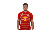 Celebrate Red Bull Sticker by FC Red Bull Salzburg