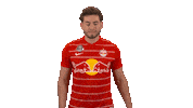 Red Bull Esports Sticker by FC Red Bull Salzburg